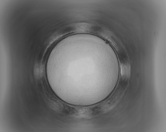 X0000110970579200906261410