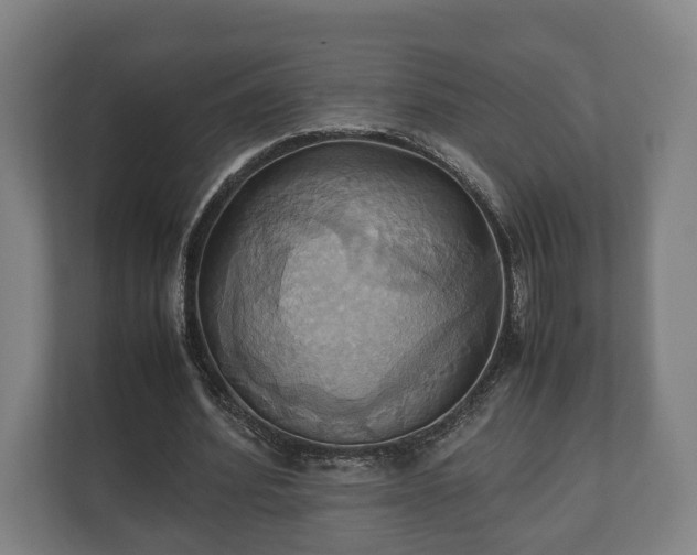 X0000110970580200906261410