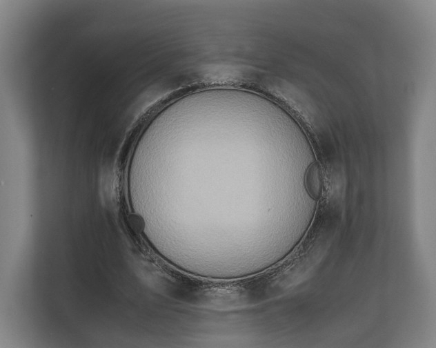 X0000110970583200906261410