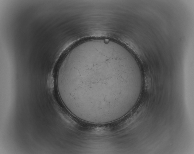 X0000110970584200906261410