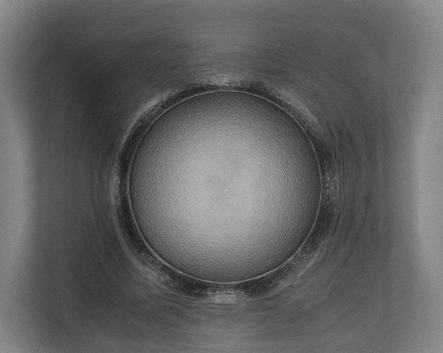 X0000110970587200906261410