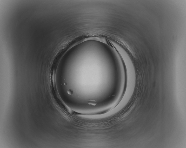 X0000110970589200906261410