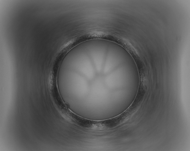 X0000110970591200906261410