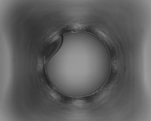 X0000110970593200906261410