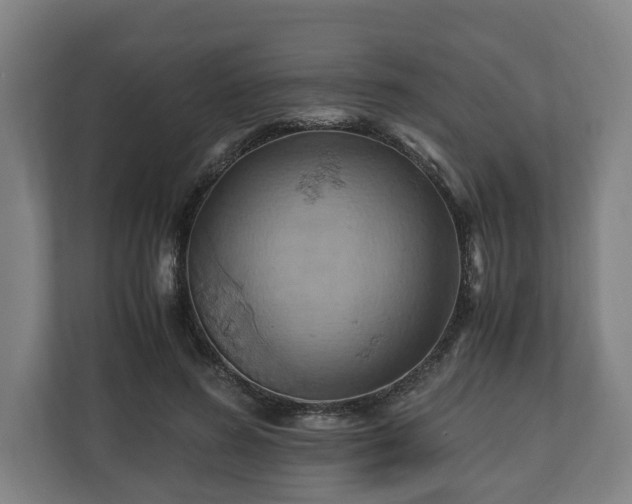 X0000110970596200906261410