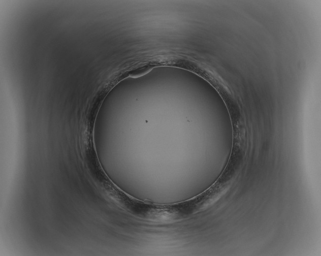 X0000110970597200906261410