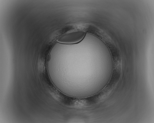 X0000110970599200906261410