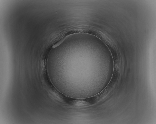 X0000110970605200906261410