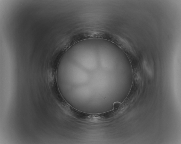 X0000110970607200906261410