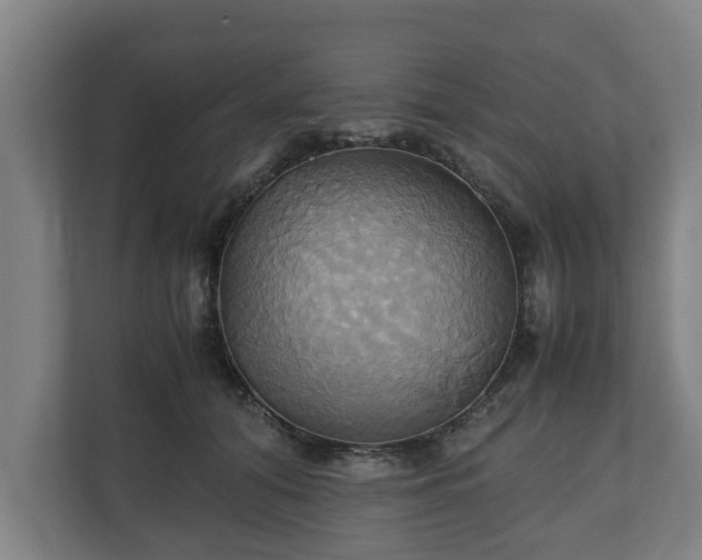 X0000110970608200906261410