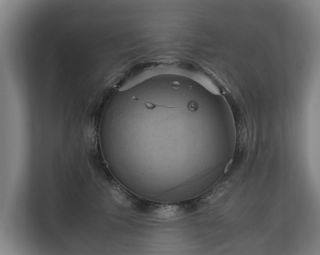 X0000110970609200906261410