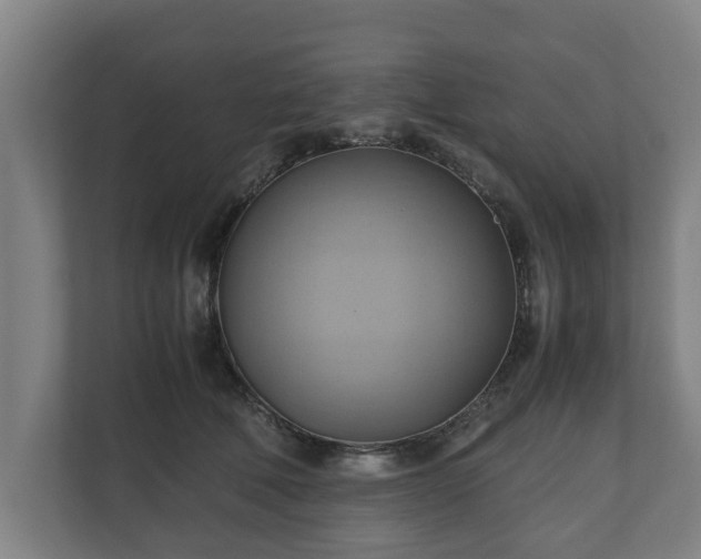 X0000110970610200906261410