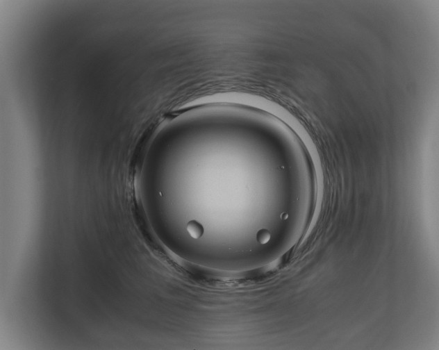 X0000110970613200906261410