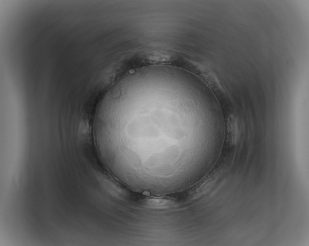 X0000110970614200906261410