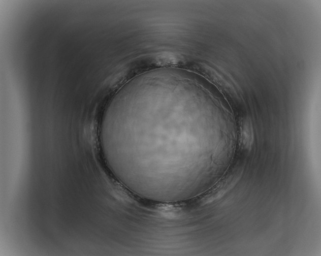 X0000110970616200906261410