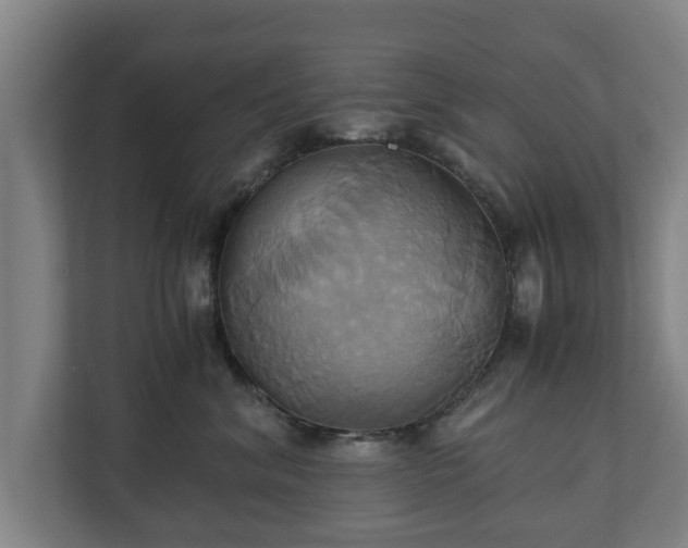 X0000110970620200906261410