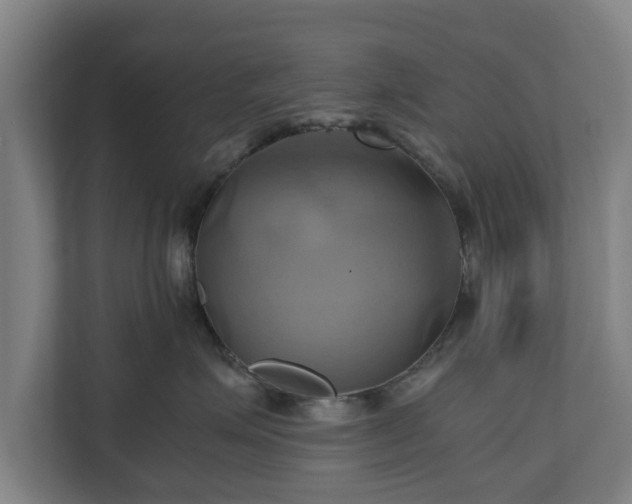 X0000110970623200906261410