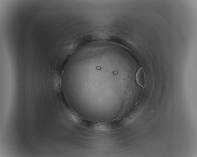 X0000110970624200906261410