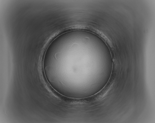 X0000110970625200906261409