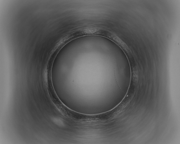 X0000110970626200906261409