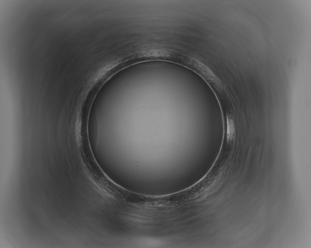 X0000110970627200906261409