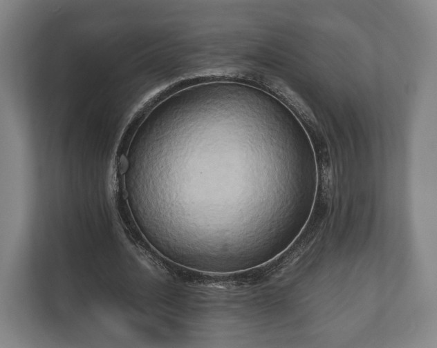 X0000110970628200906261409