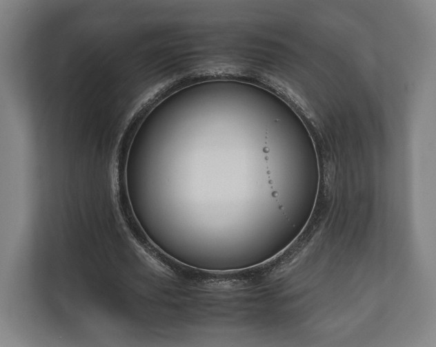 X0000110970629200906261409