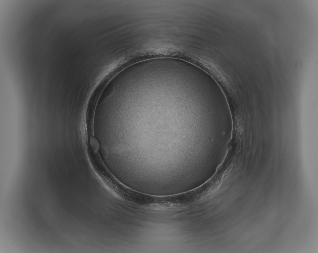 X0000110970630200906261409