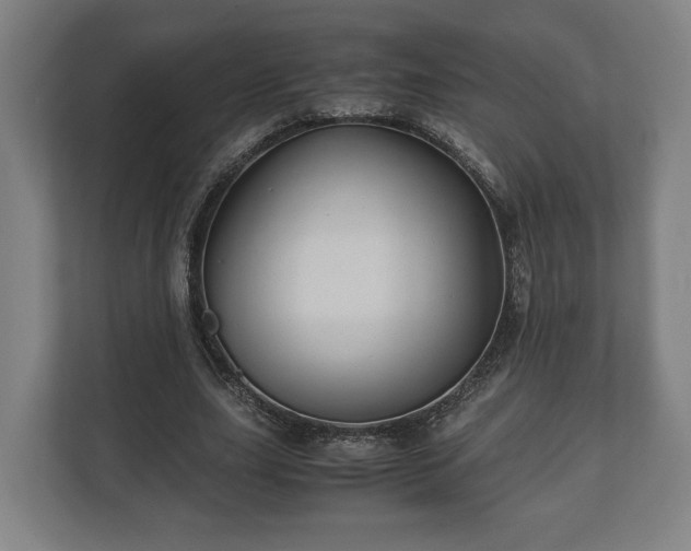 X0000110970631200906261409