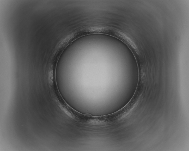 X0000110970633200906261409