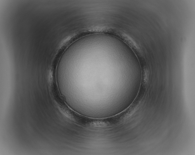 X0000110970636200906261409