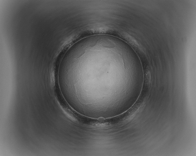 X0000110970638200906261409