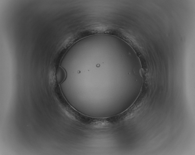 X0000110970642200906261409