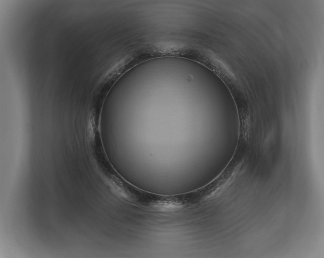 X0000110970644200906261409