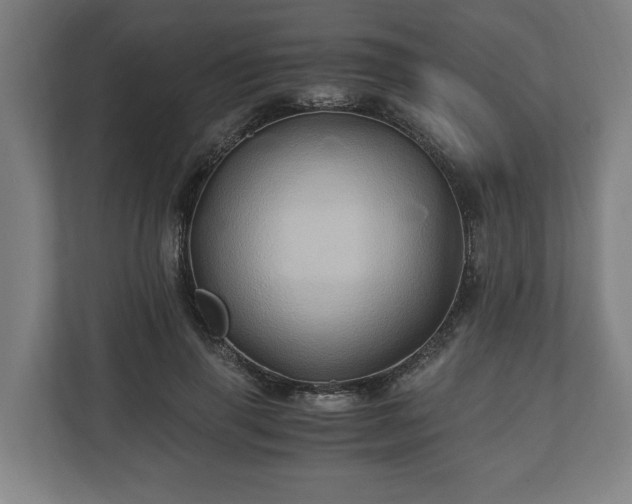 X0000110970645200906261409