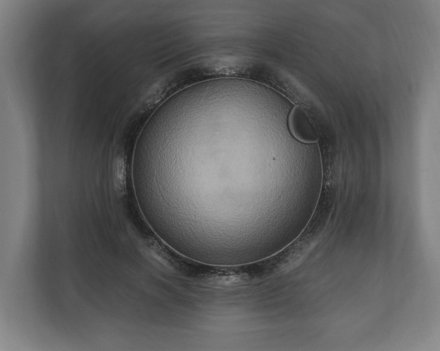 X0000110970646200906261409