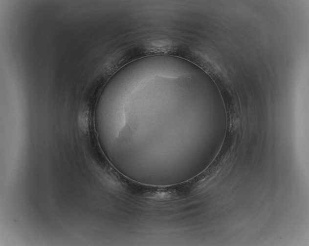 X0000110970647200906261409