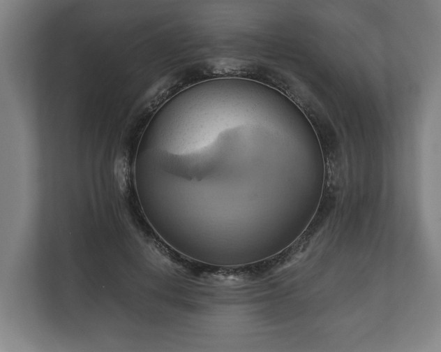 X0000110970648200906261409