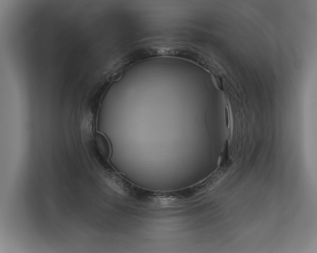 X0000110970650200906261409