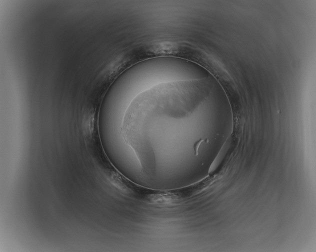 X0000110970652200906261409