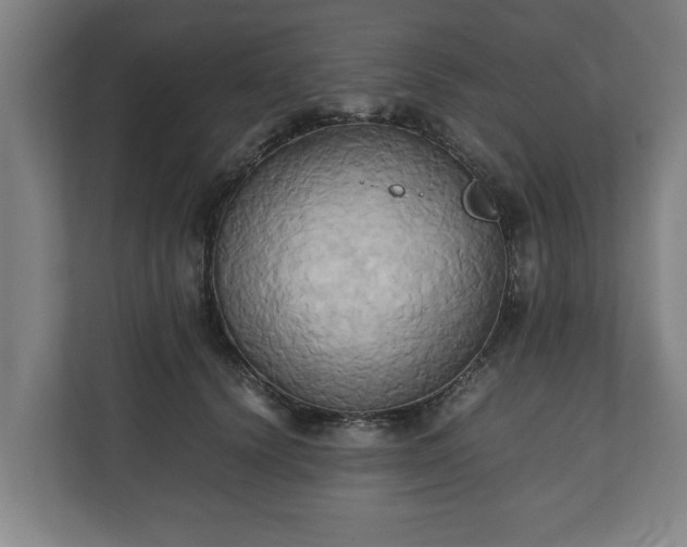 X0000110970656200906261410