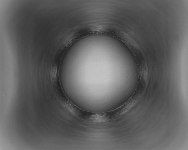 X0000110970660200906261410