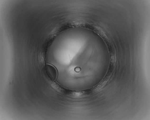 X0000110970662200906261410