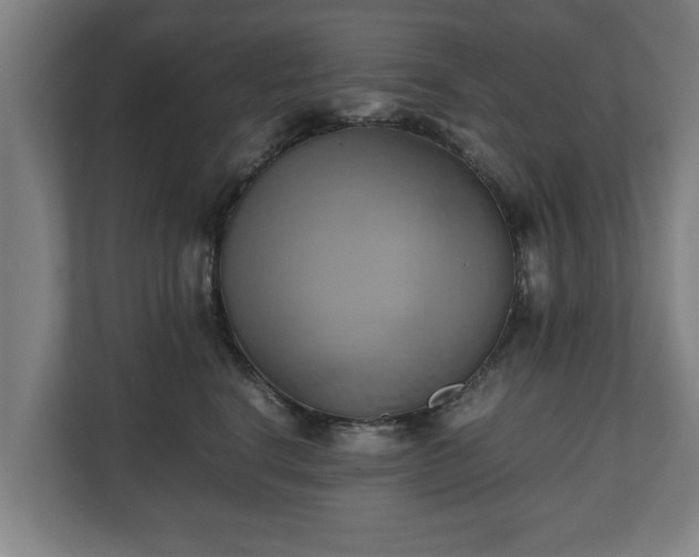 X0000110970664200906261410