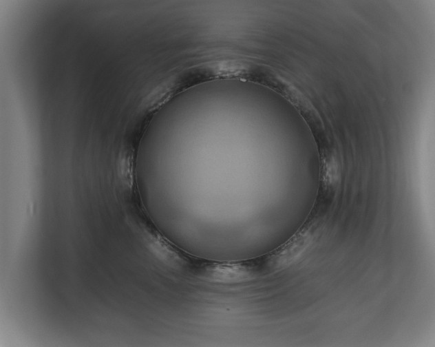 X0000110970666200906261410