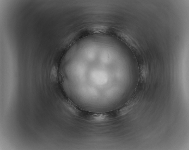 X0000110970667200906261410