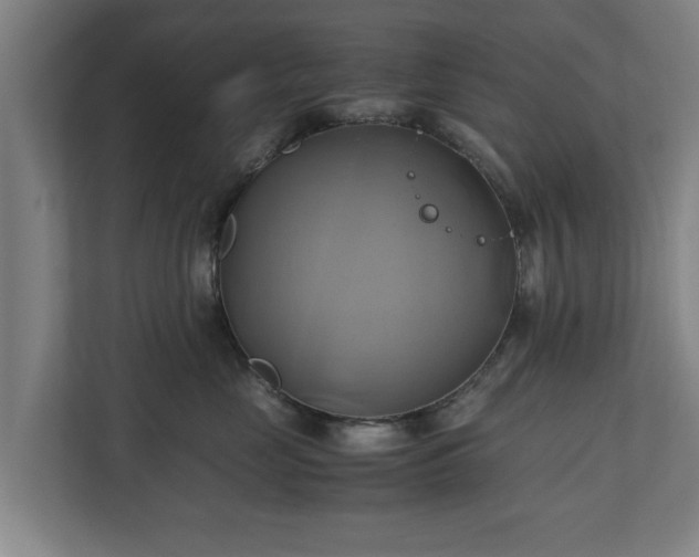 X0000110970669200906261410