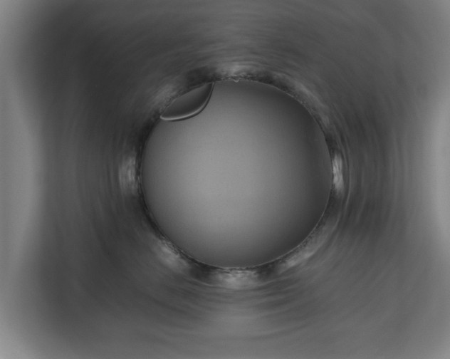 X0000110970670200906261410