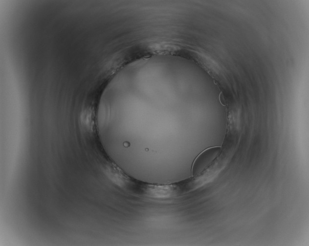 X0000110970671200906261410