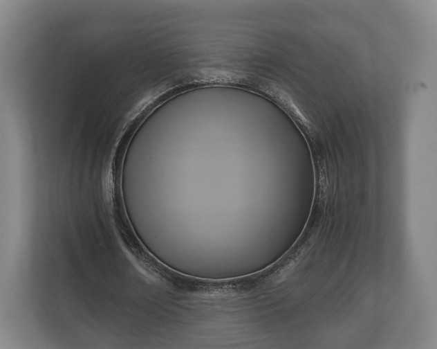 X0000110970674200906261409